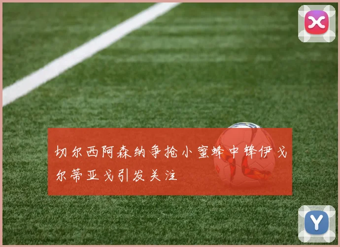 切尔西阿森纳争抢小蜜蜂中锋伊戈尔蒂亚戈引发关注